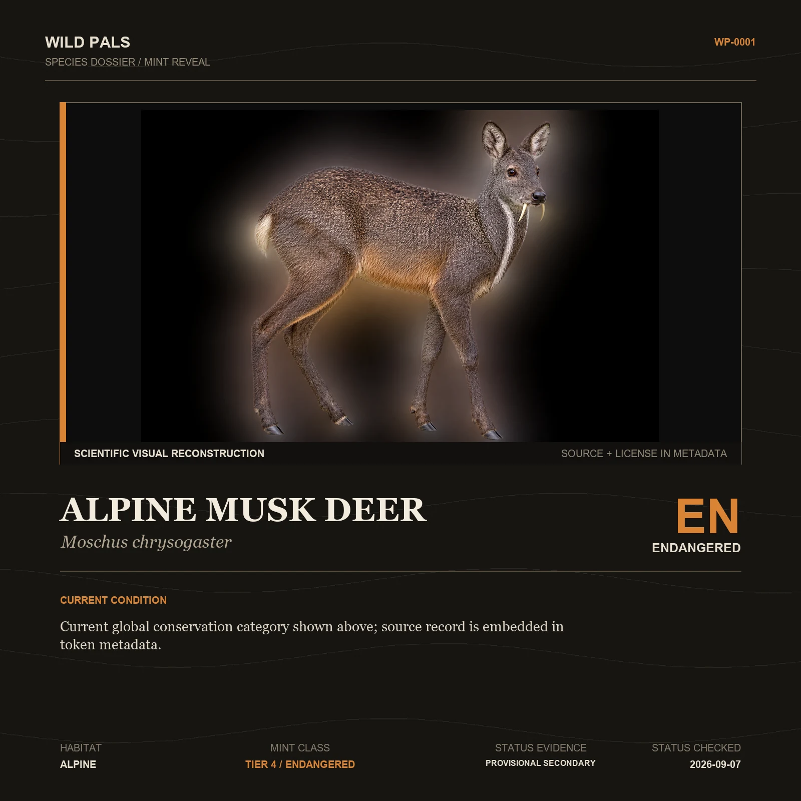 Alpine Musk Deer species dossier with original animal reference and Endangered status