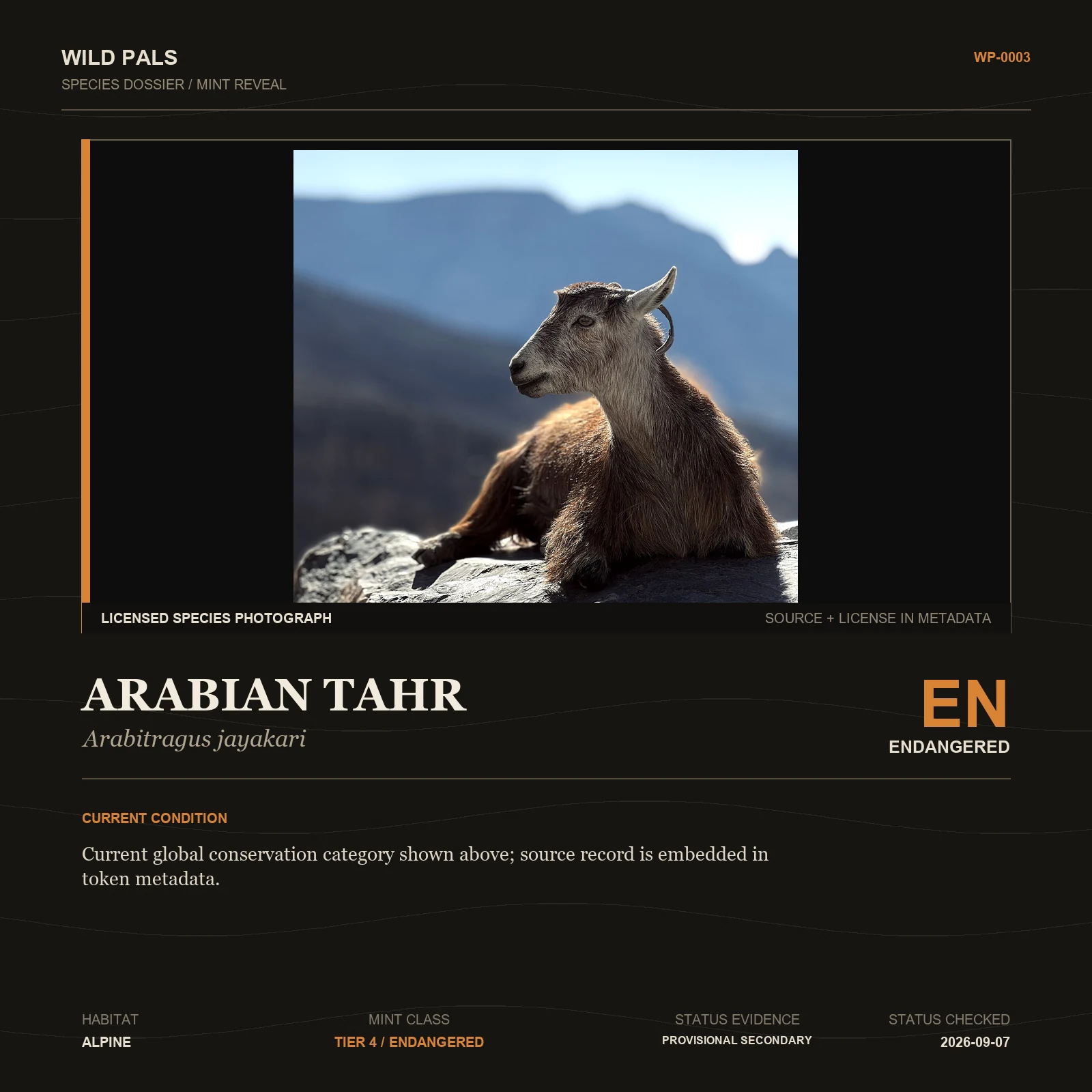 Arabian Tahr species dossier with original animal reference and Endangered status