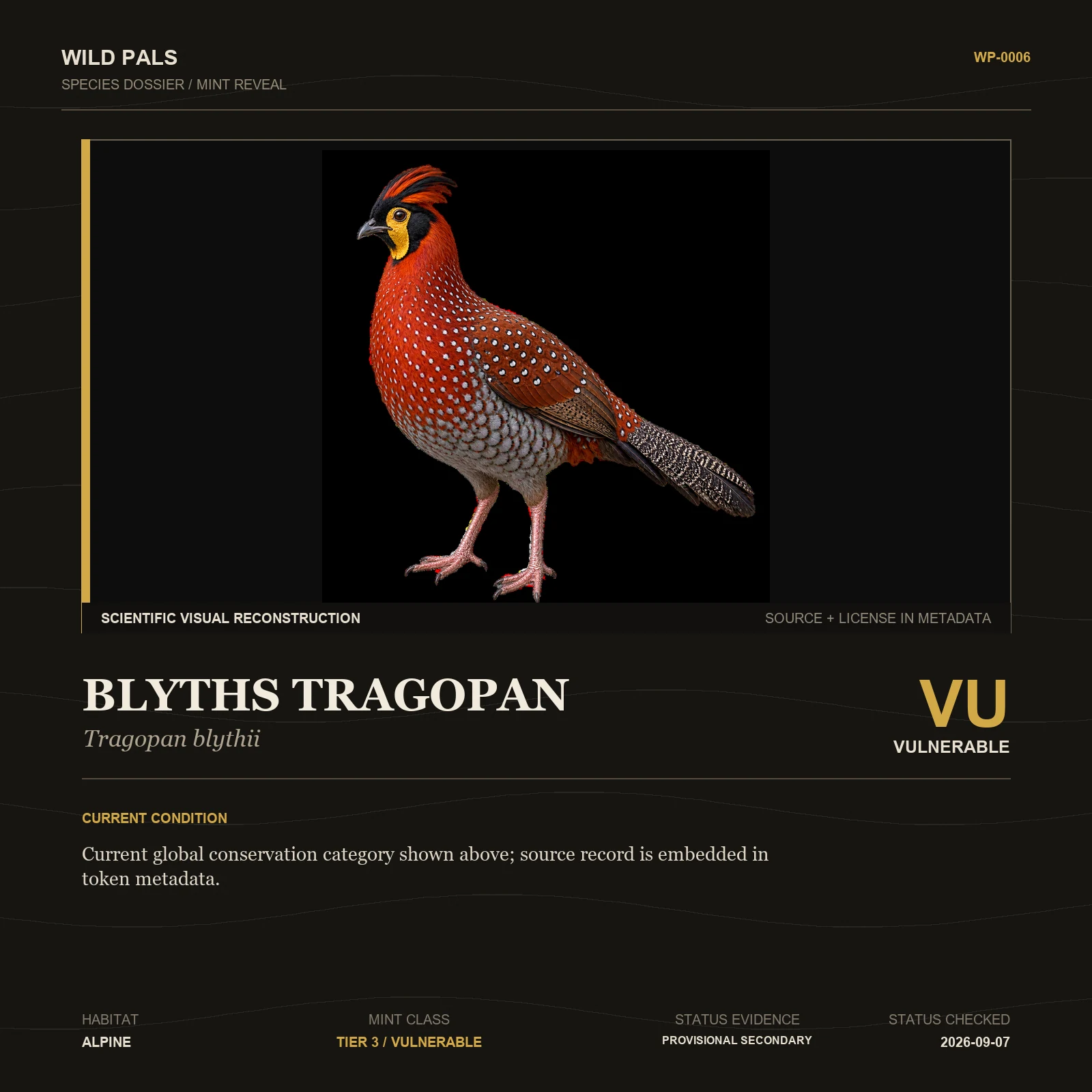 Blyth's Tragopan species dossier with original animal reference and Vulnerable status
