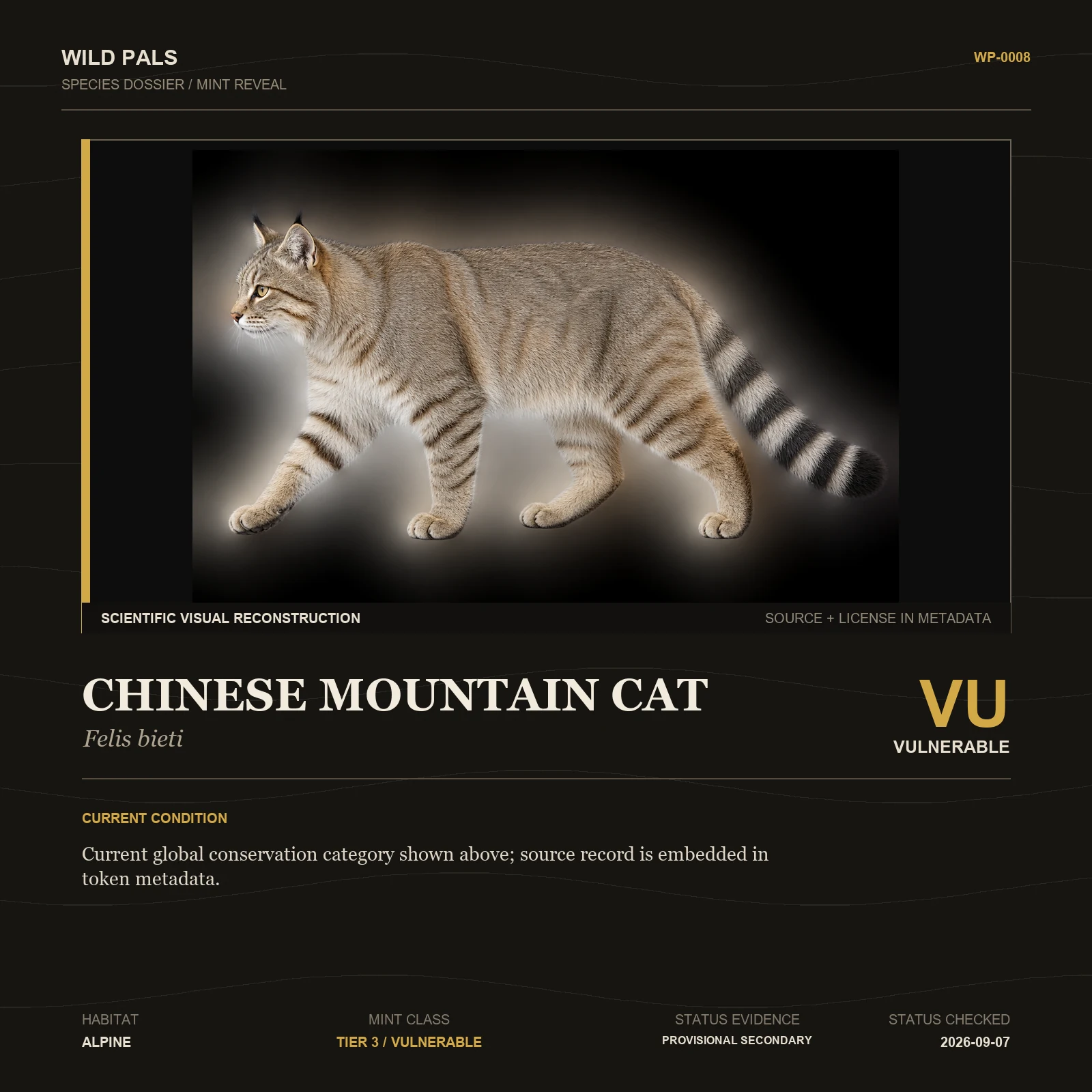 Chinese Mountain Cat species dossier with original animal reference and Vulnerable status
