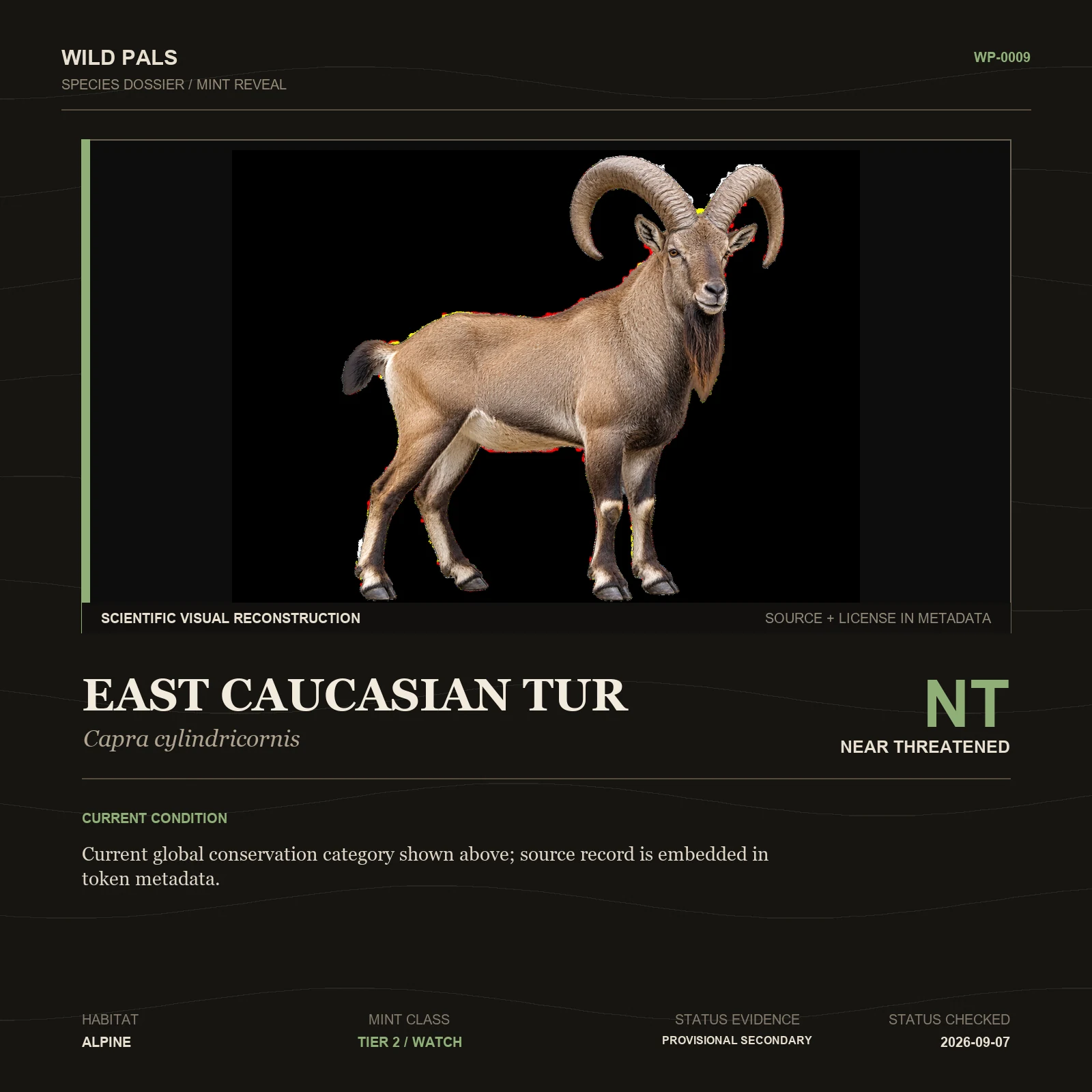 East Caucasian Tur species dossier with original animal reference and Near Threatened status